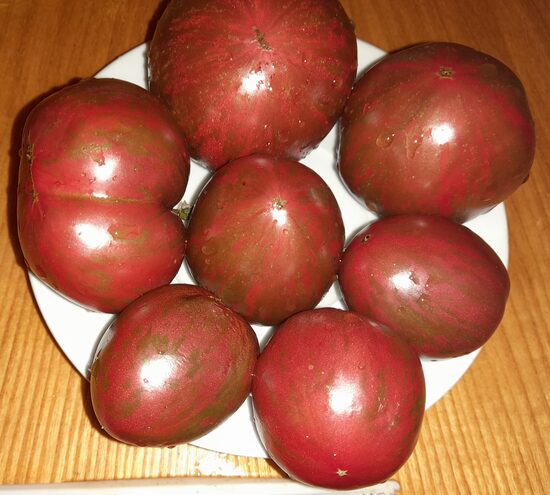 Миля лунного света (Moonlight Mile)